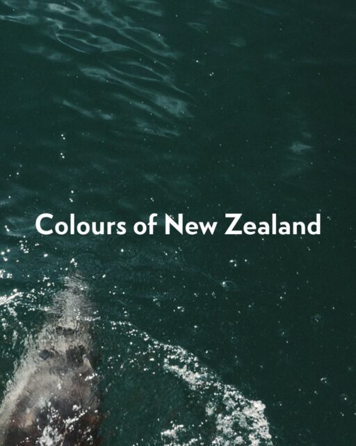 New Zealand, the ultimate colour palette.