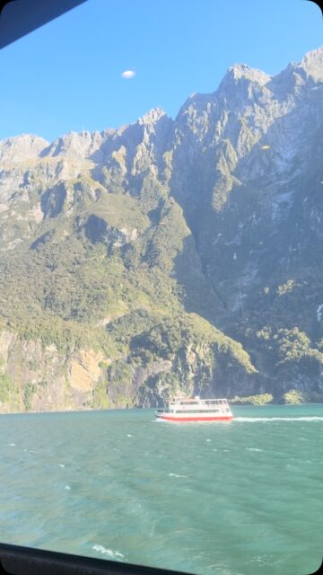 Fresh waterfalls, an incredible cruise with @southerndiscoveries, and a scenic flight to top it all off. ✈️🚢🙌
Milford Sound showing off as always. 🫶
.
.
.
.
.
.
#queenstown #cruise #nature #milfordsound