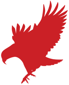 GlenorchyAir_RGB_Icon_kea-red GlenorchyAir_RGB_Icon_kea-red
